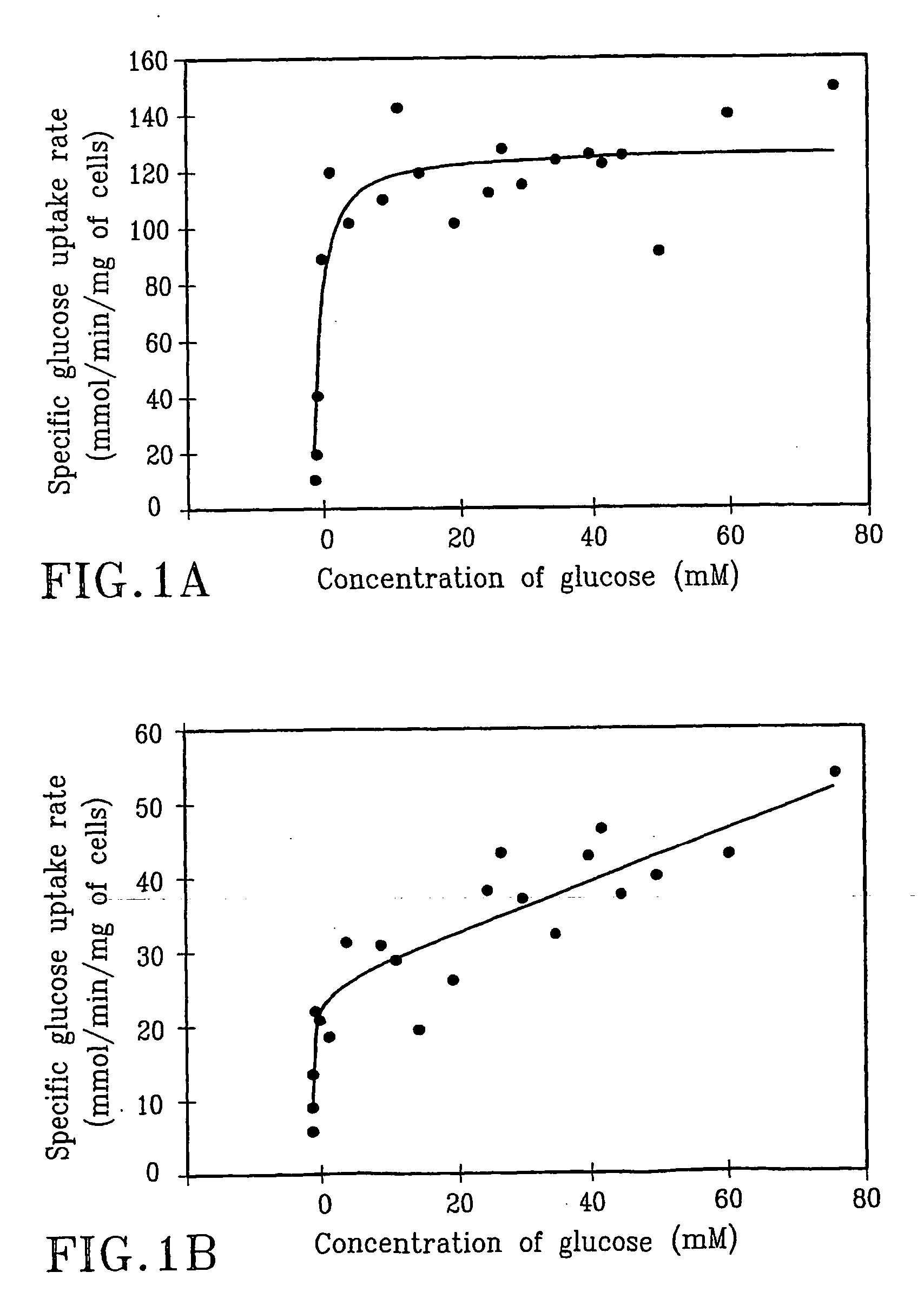 Mutated lactococcus strain