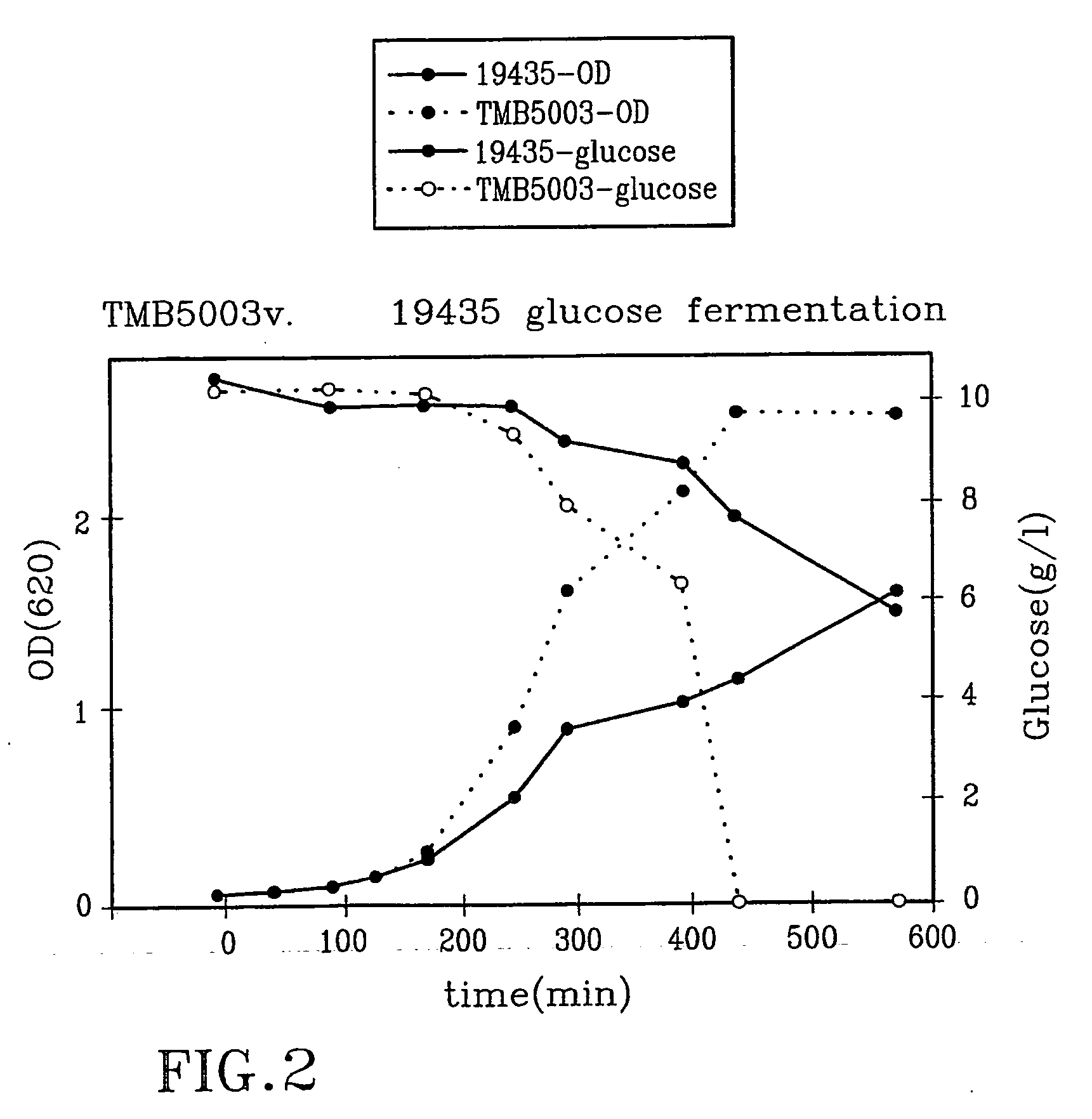 Mutated lactococcus strain