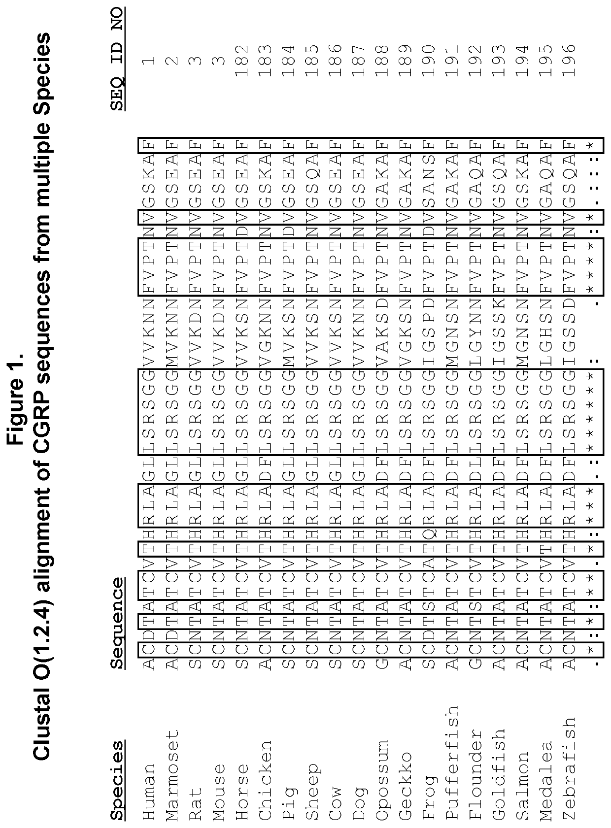 Peptide immunogens targeting calcitonin gene-related peptide (CGRP) and formulations thereof for prevention and treatment of migraine