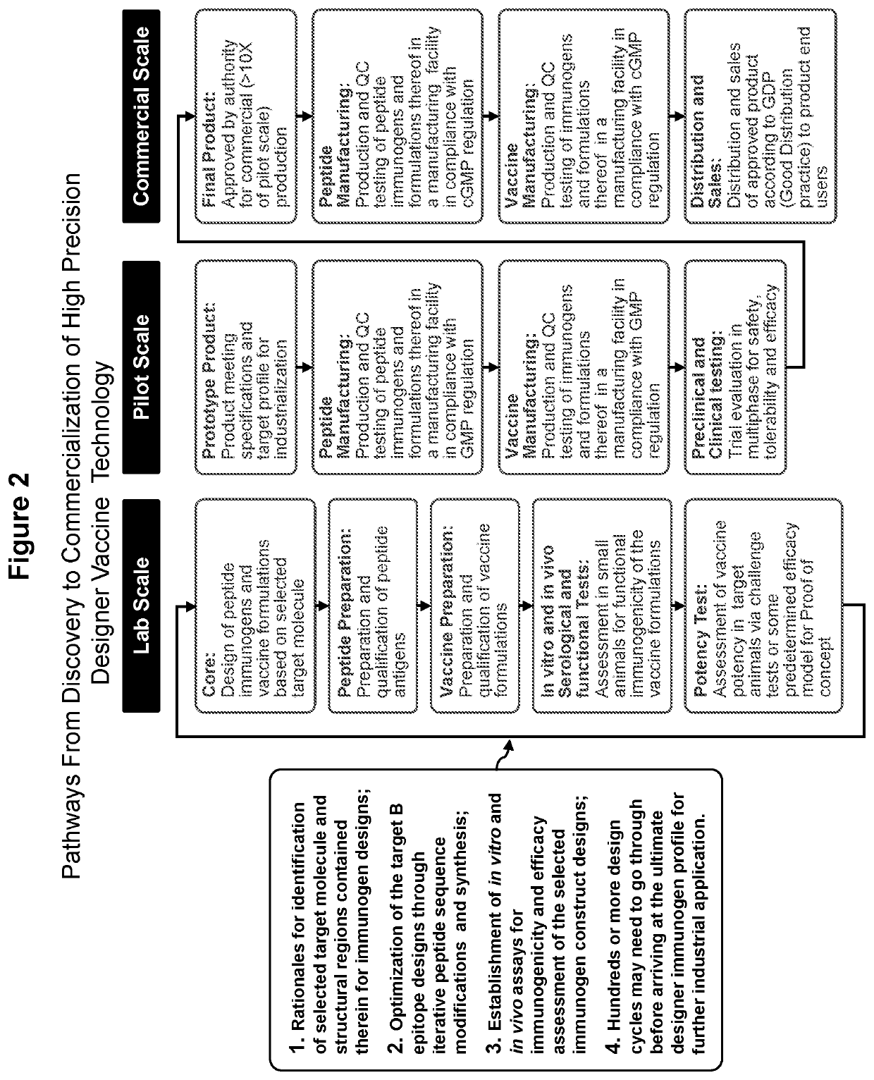 Peptide immunogens targeting calcitonin gene-related peptide (CGRP) and formulations thereof for prevention and treatment of migraine