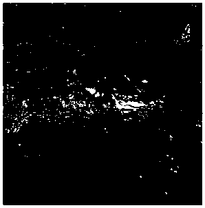 Visual physical model for vertical changes of terrain induced by hydrate decomposition and method