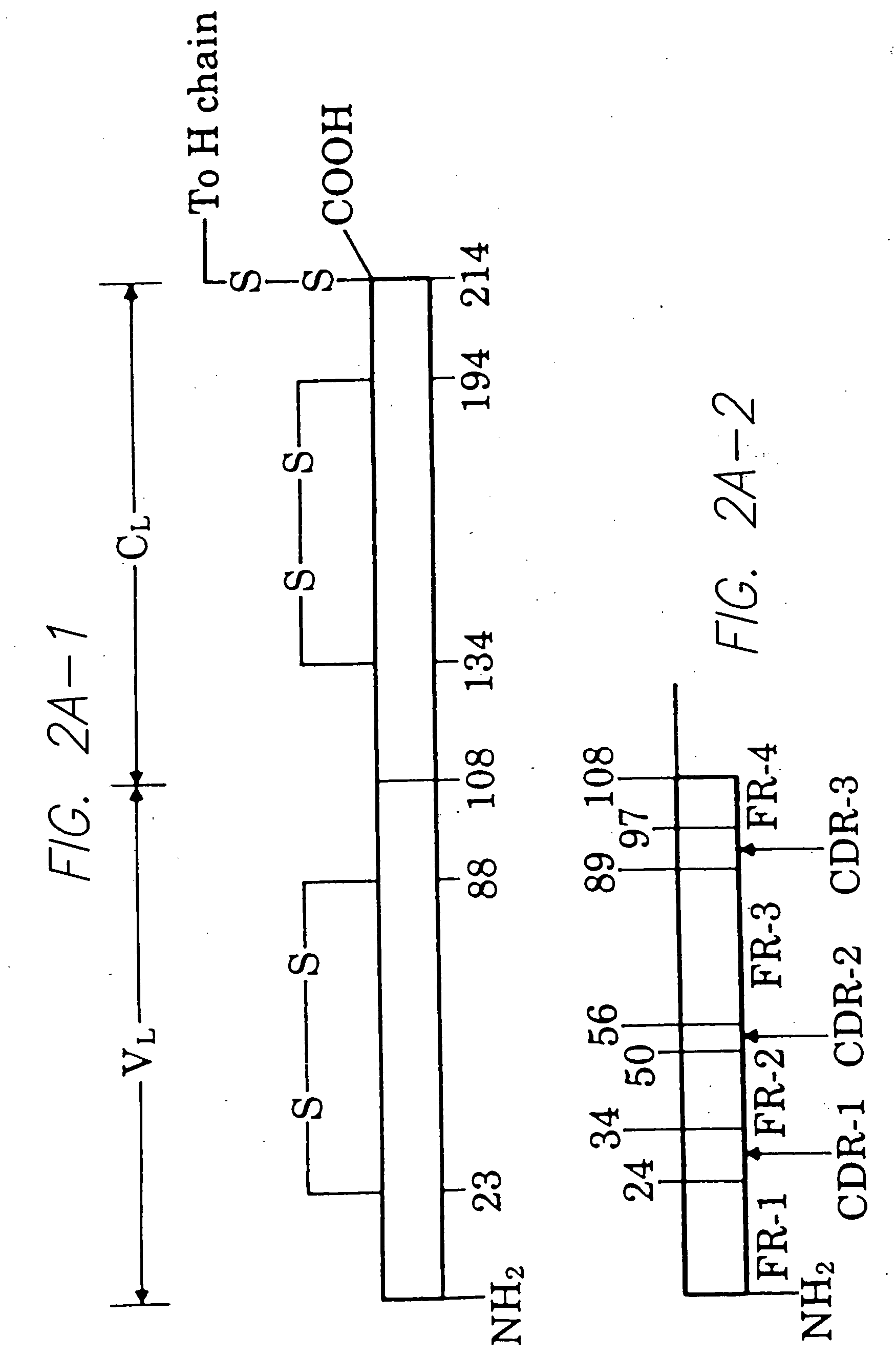 Method for tapping the immunological repertoire