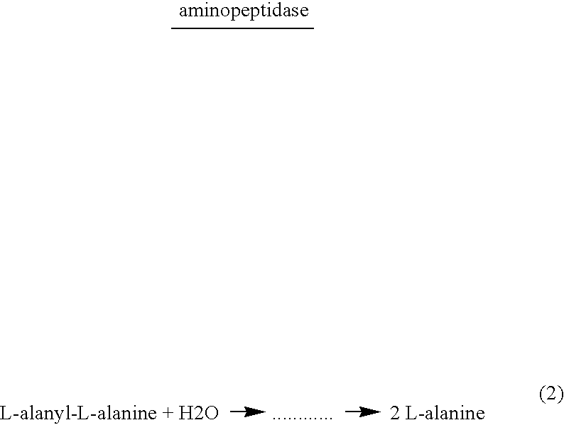 Phenotypic engineering of spores