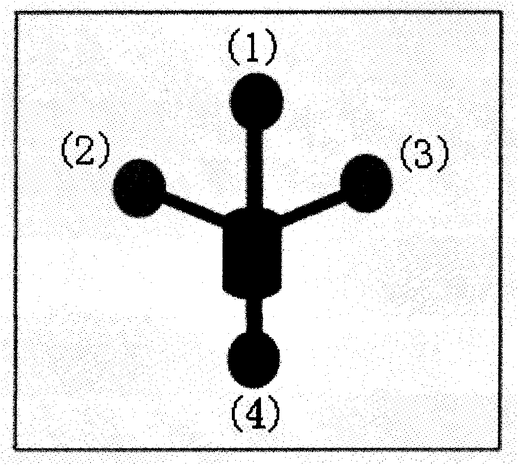 Microfluidic chip group used for screening formyl peptide receptor agonist and screening method