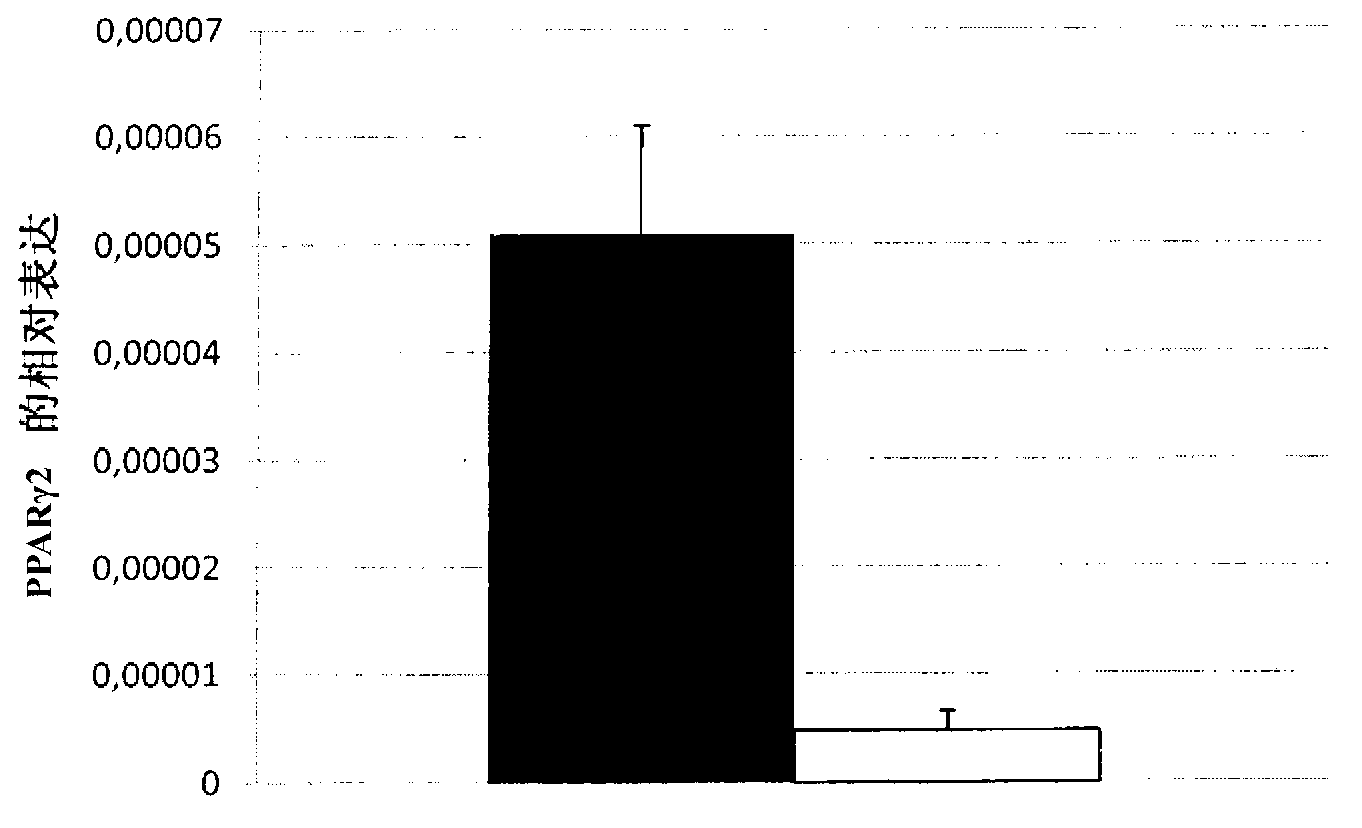 Method for culturing adipocytes