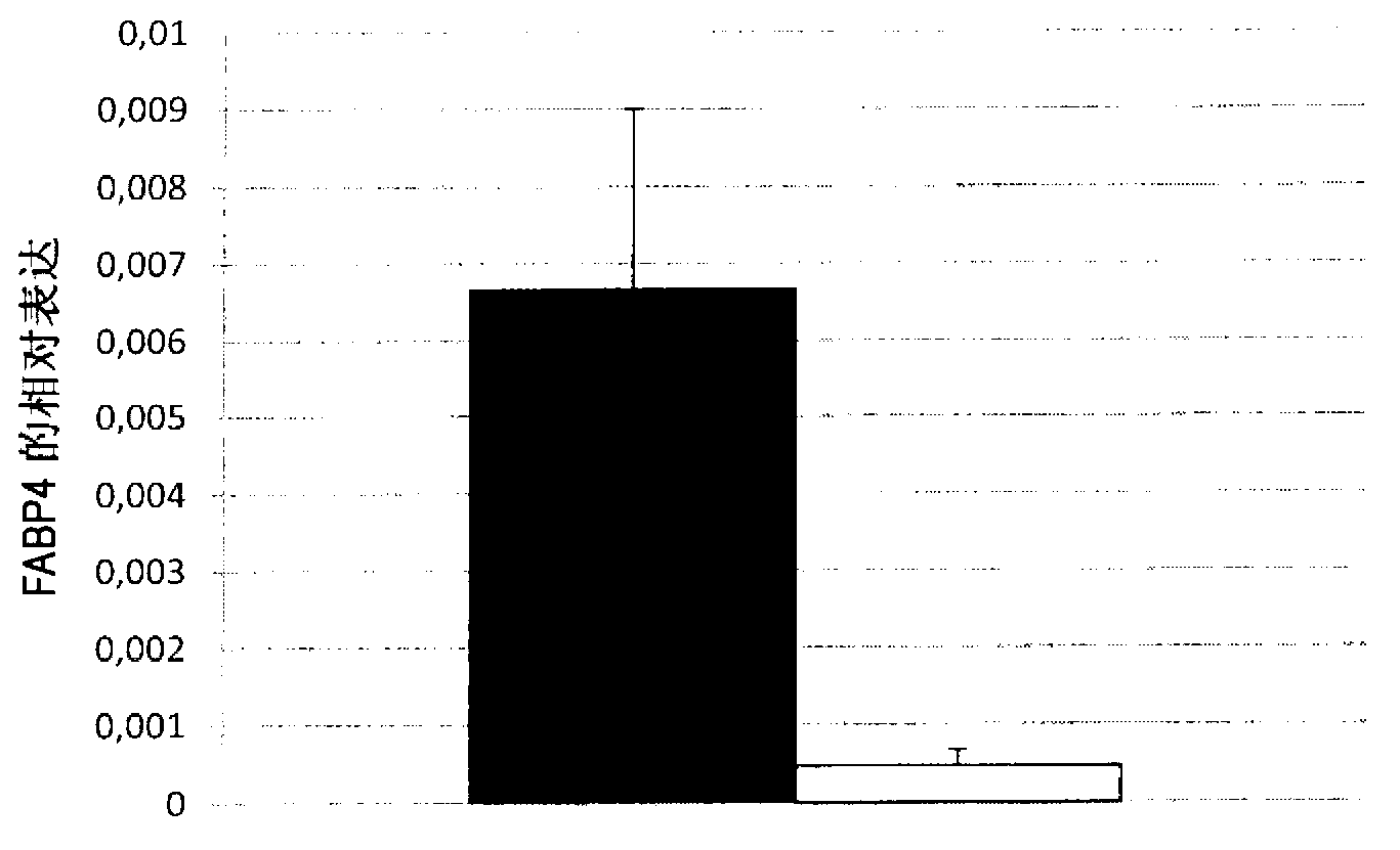 Method for culturing adipocytes