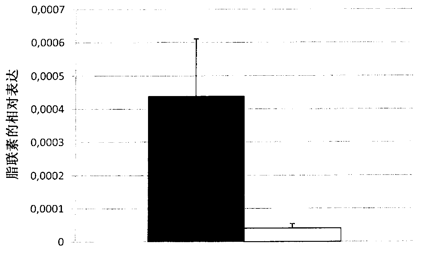 Method for culturing adipocytes