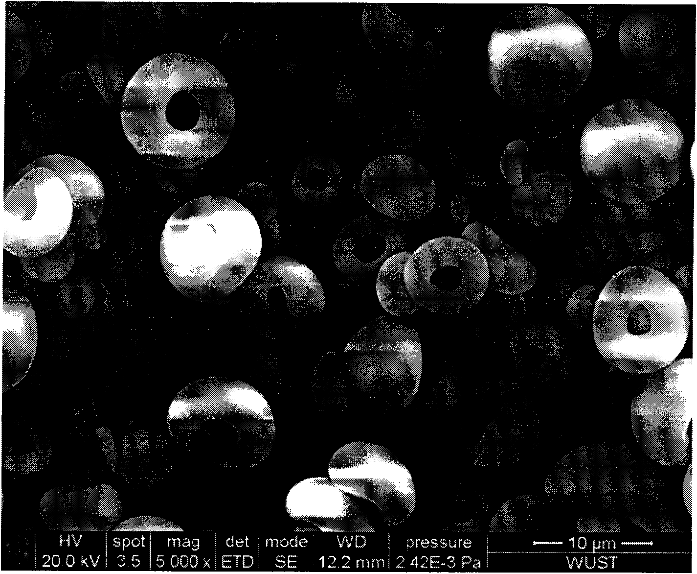 Seashell boehmite powder and preparation method thereof