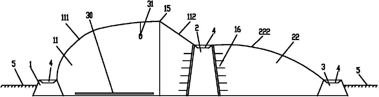 Ecological and energy-saving solar greenhouse of composite mud wall-canopy structure