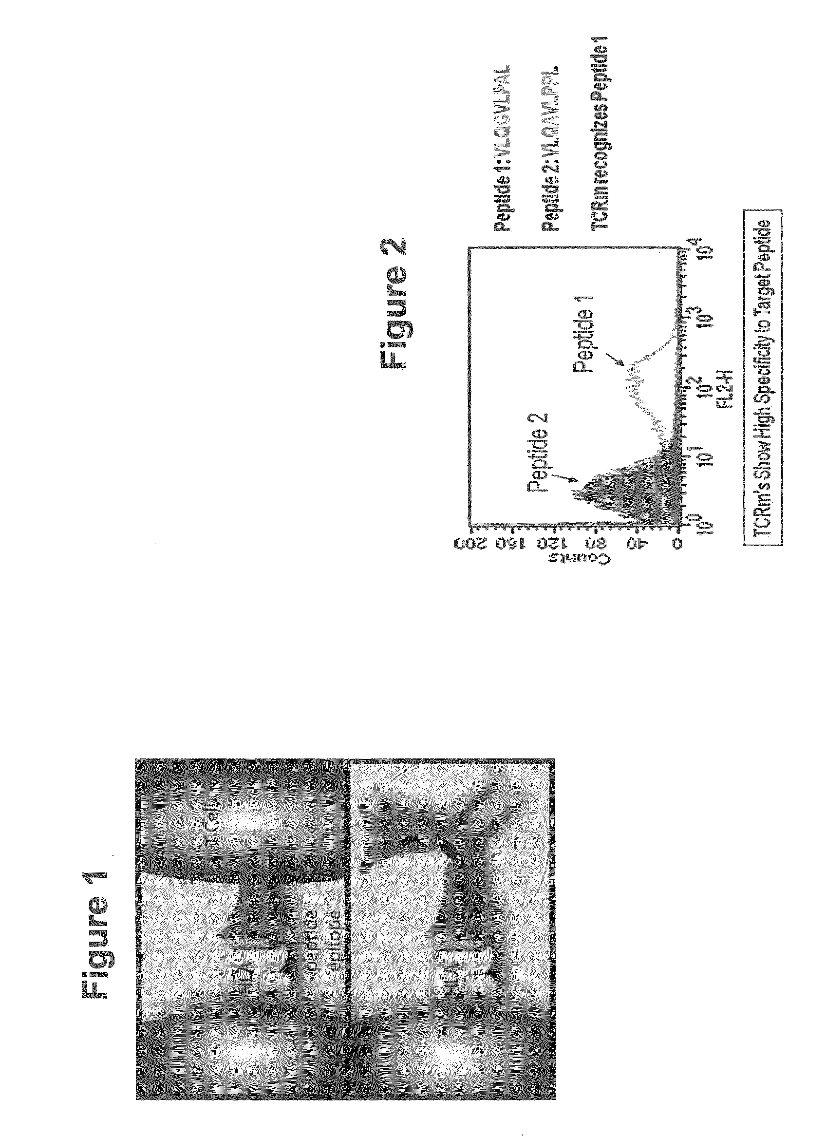 Methods of assaying vaccine potency