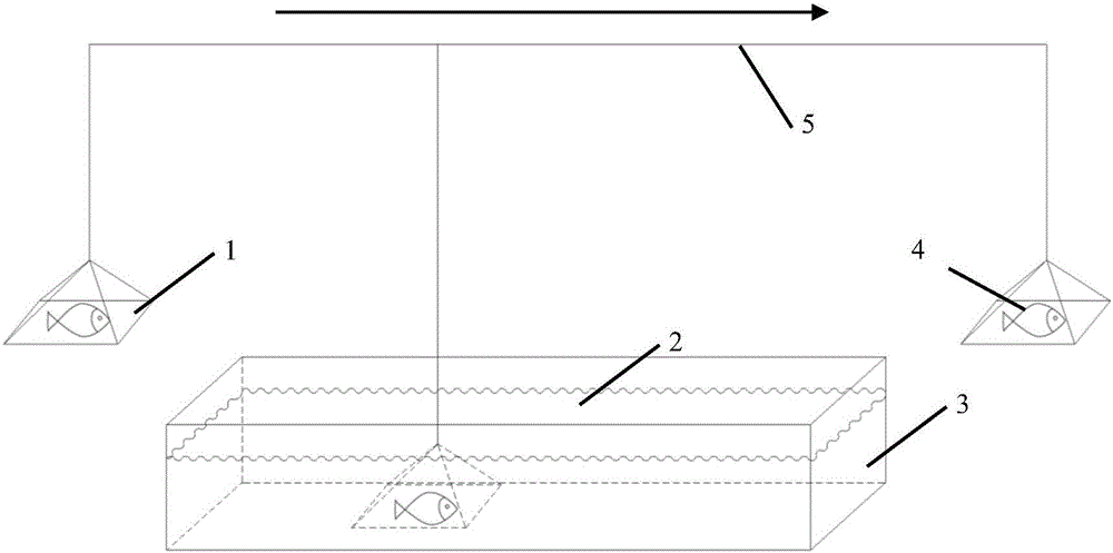 Low-temperature freezing fresh preservation method and system for aquatic products