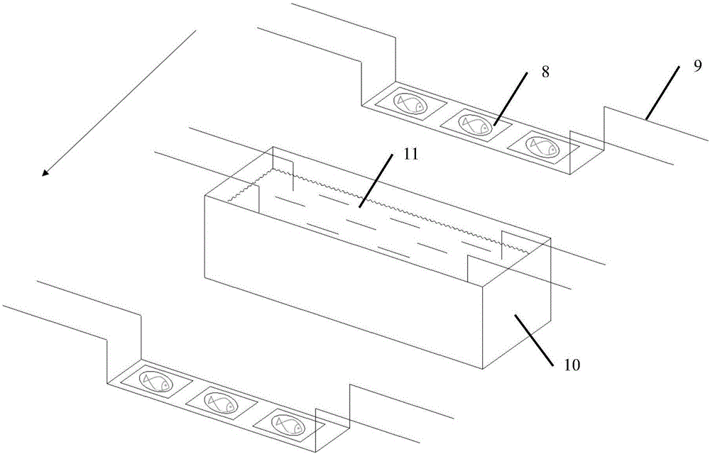 Low-temperature freezing fresh preservation method and system for aquatic products