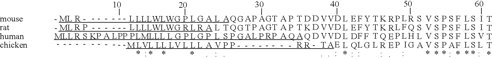 Heparanase activity neutralizing anti-heparanase monoclonal antibody and other anti-heparanase antibodies