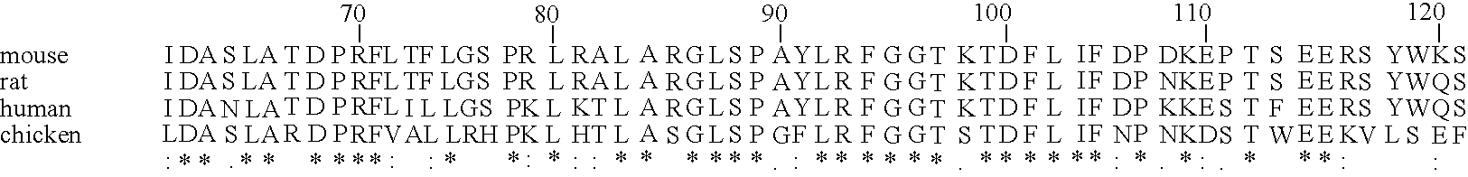 Heparanase activity neutralizing anti-heparanase monoclonal antibody and other anti-heparanase antibodies