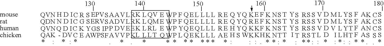 Heparanase activity neutralizing anti-heparanase monoclonal antibody and other anti-heparanase antibodies