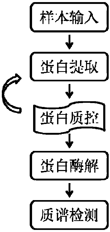 Method for detecting different beta-casein variants in milk