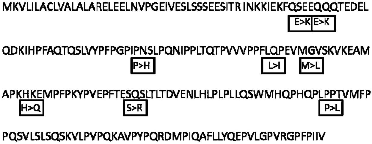 Method for detecting different beta-casein variants in milk