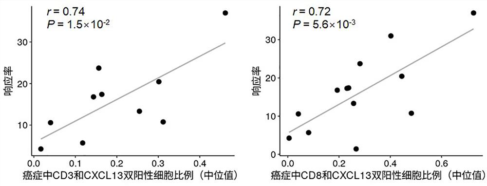 A device for predicting the therapeutic effect of immune checkpoint blockade therapy and its application