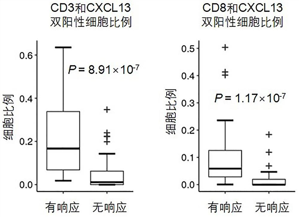 A device for predicting the therapeutic effect of immune checkpoint blockade therapy and its application