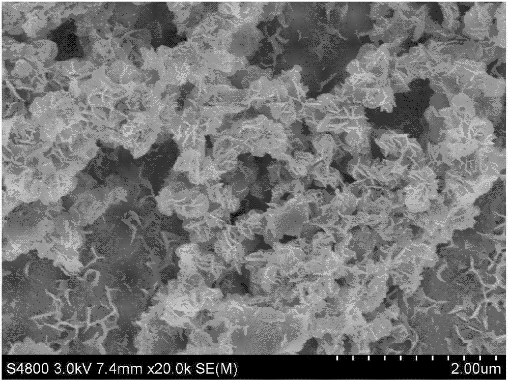 3D (three-dimensional) micronano ball-flower magnesium molybdate and preparation method thereof