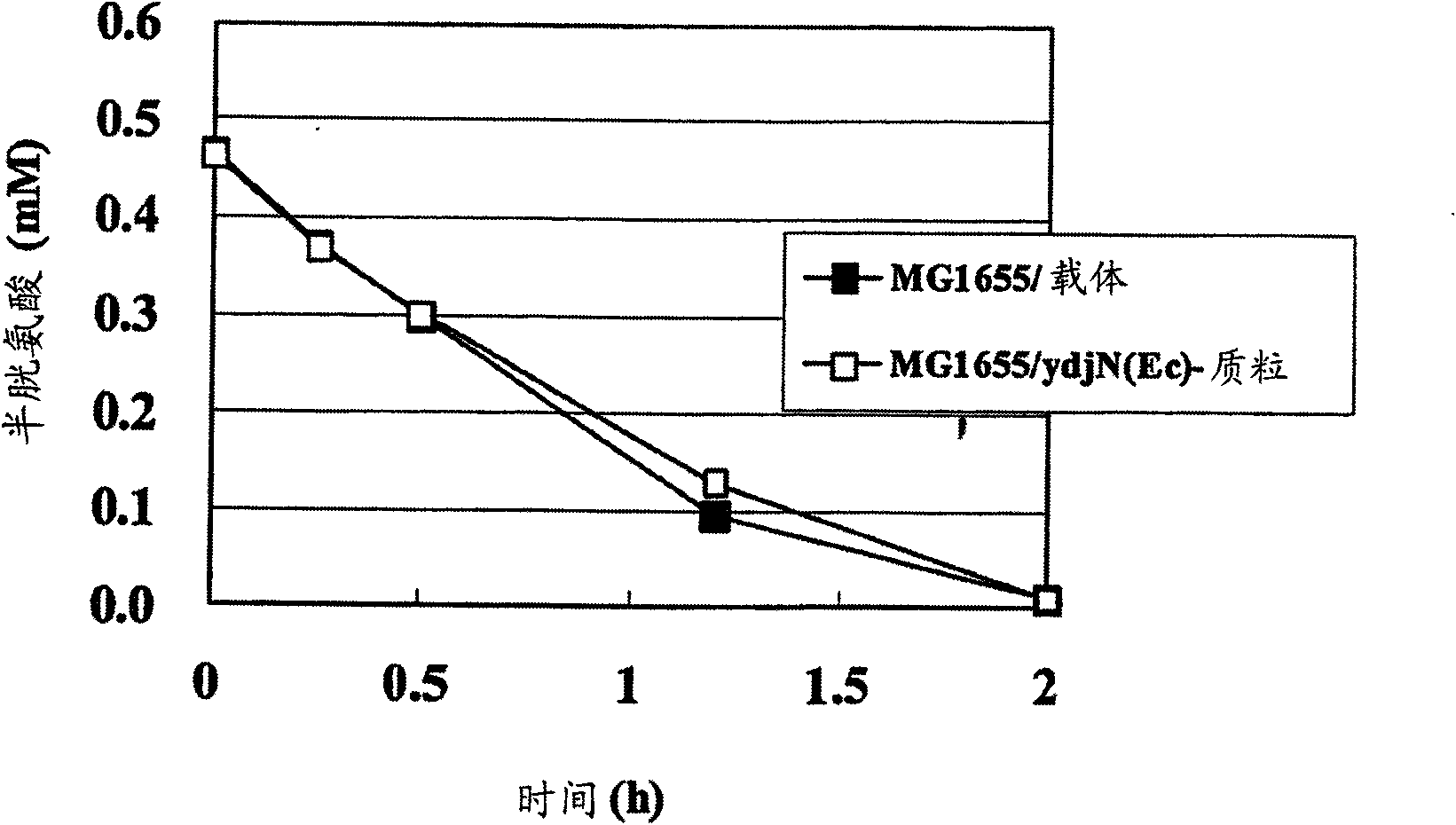 An l-cysteine-producing bacterium and a method for producing l-cysteine