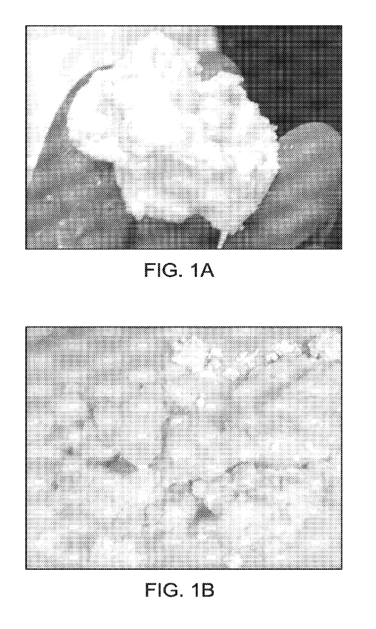 Nanosilica Dispersion for Thermally Insulating Packer Fluid