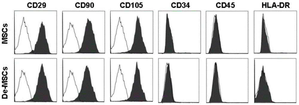 A method for culturing bone marrow dedifferentiated mesenchymal stem cells