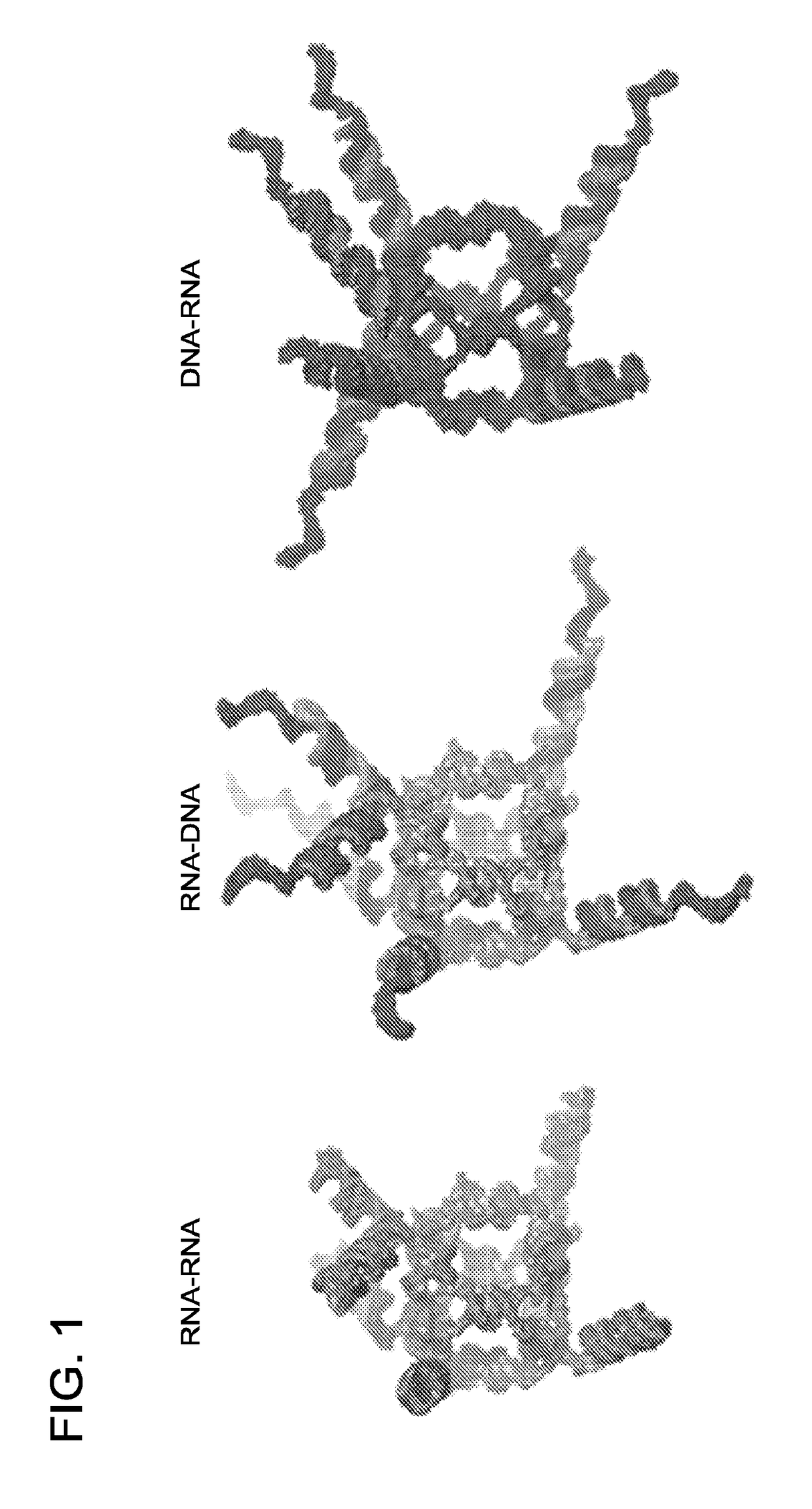 Triggering RNA interference with RNA-dna and dna-RNA nanoparticles