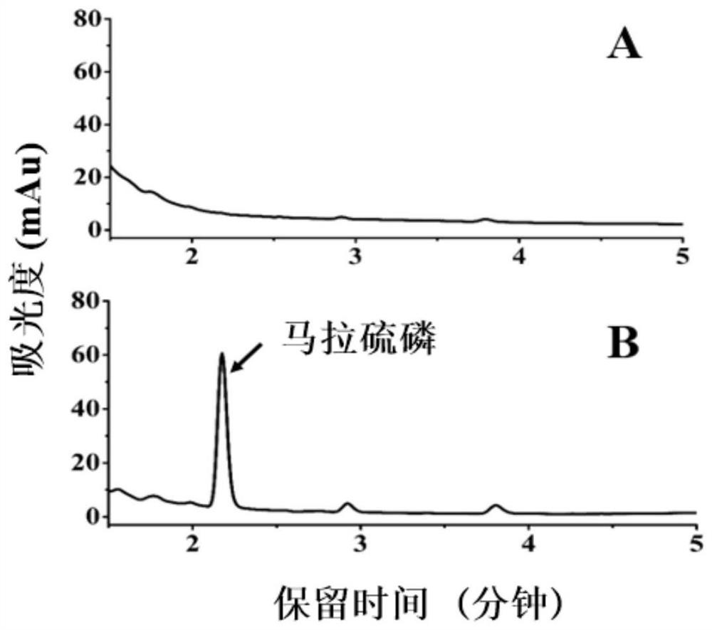 Application of an insect detoxifying enzyme protein in degrading organophosphorus pesticides