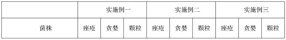 Skin antibacterial ointment for treating intractable skin diseases