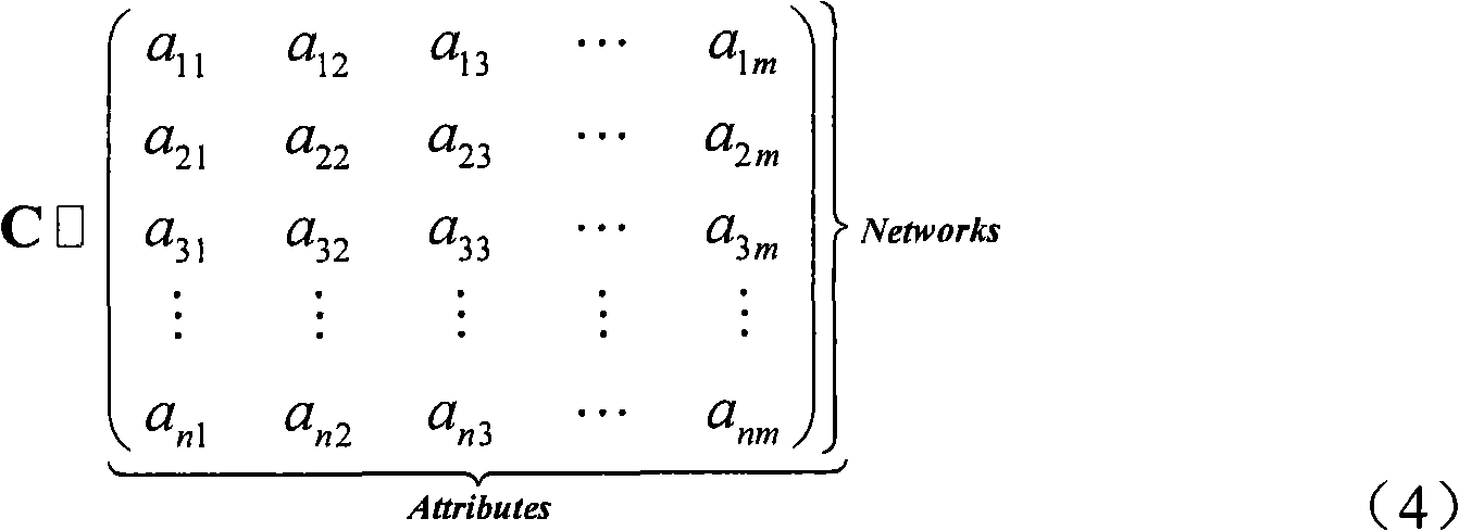 Network selecting method and device in heterogeneous wireless network