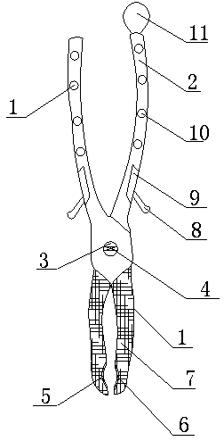 Improved dental forceps