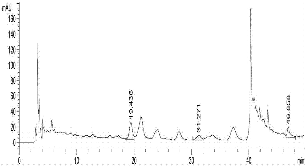 Method for measuring contents of three flavonoid compounds in rhododendron seniavinii syrup simultaneously