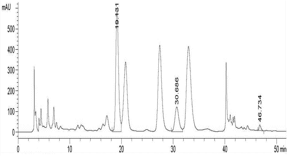 Method for measuring contents of three flavonoid compounds in rhododendron seniavinii syrup simultaneously