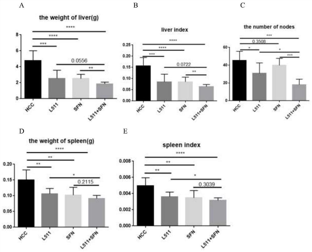 Lactobacillus paracasei L511 capable of inhibiting growth of liver cancer tumor and application of lactobacillus paracasei L511