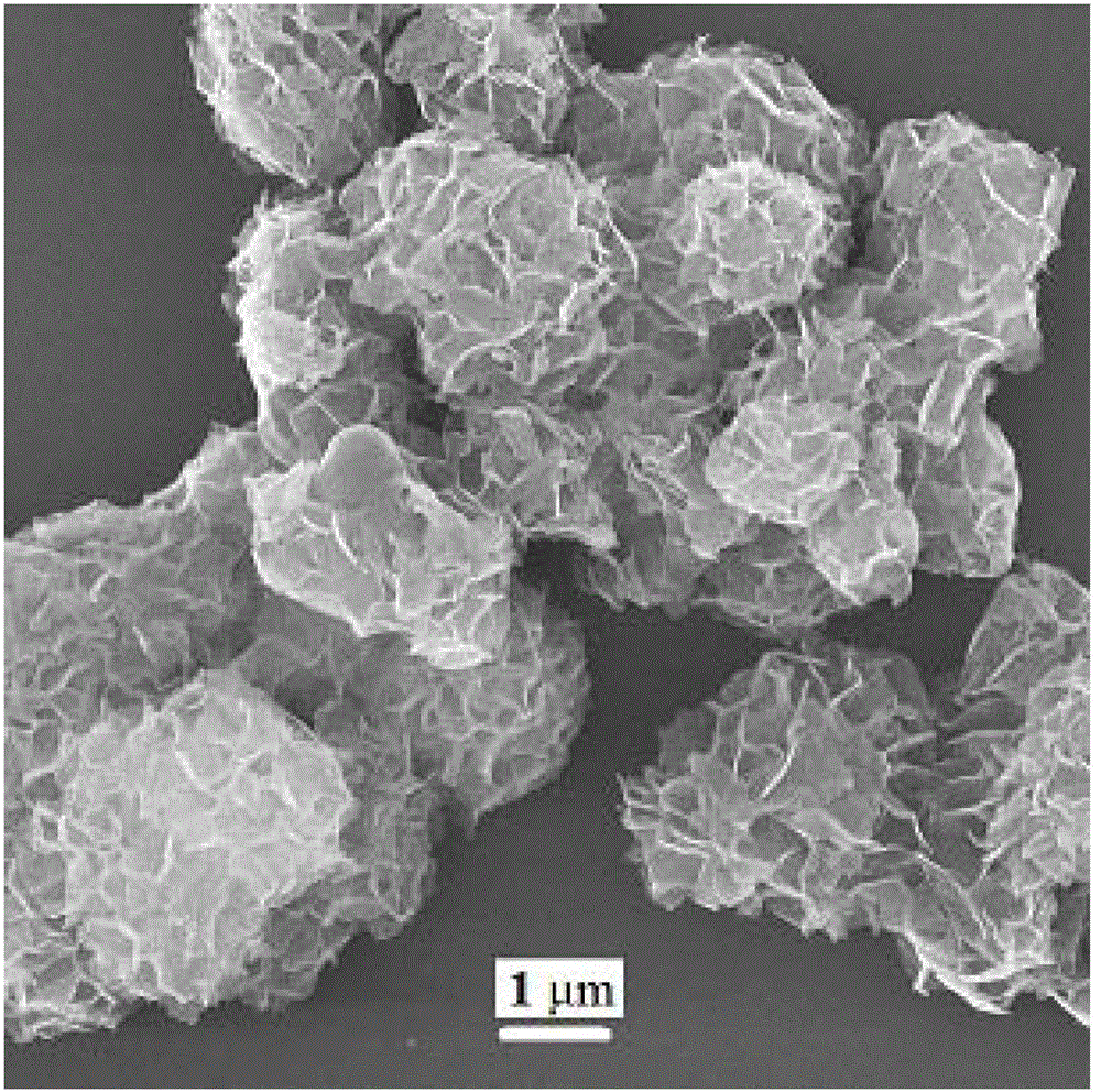 Three-dimensional flower-like layered double hydroxide and preparation method thereof