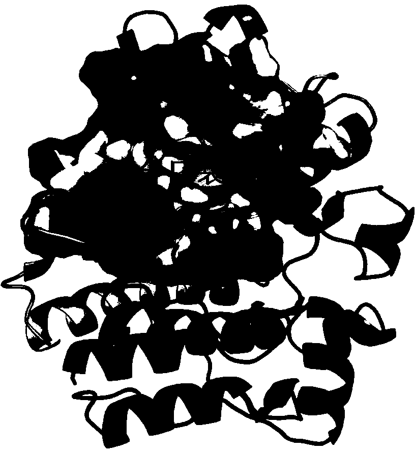 2-(quinazoline-4-amino)-5-thiazole carboxamide derivatives and biological medicine use thereof