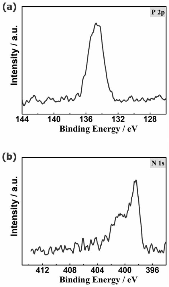 A kind of nitrogen and phosphorus co-doped porous biomass carbon material and its preparation method and application in supercapacitor