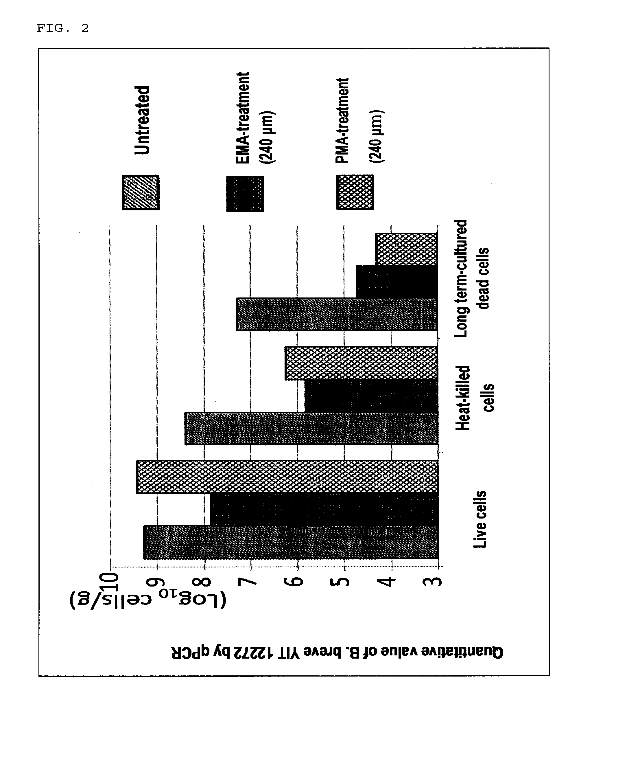 Method for constructing novel bacterium belonging to the genus bifidobacterium