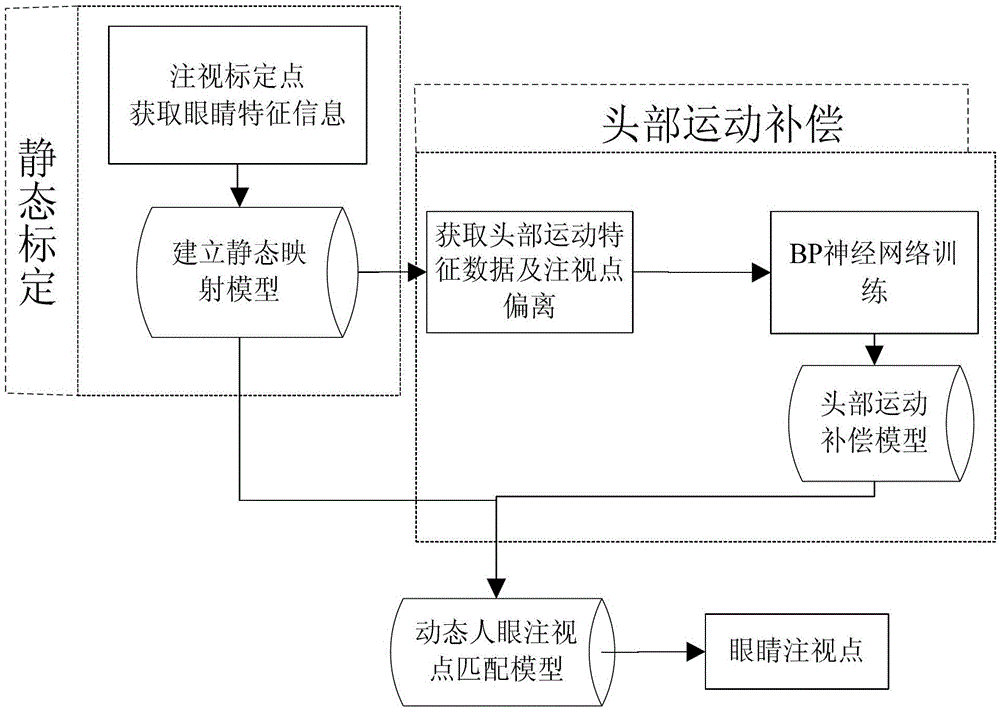 A Gaze Tracking Method Based on Neural Network Head Motion Compensation