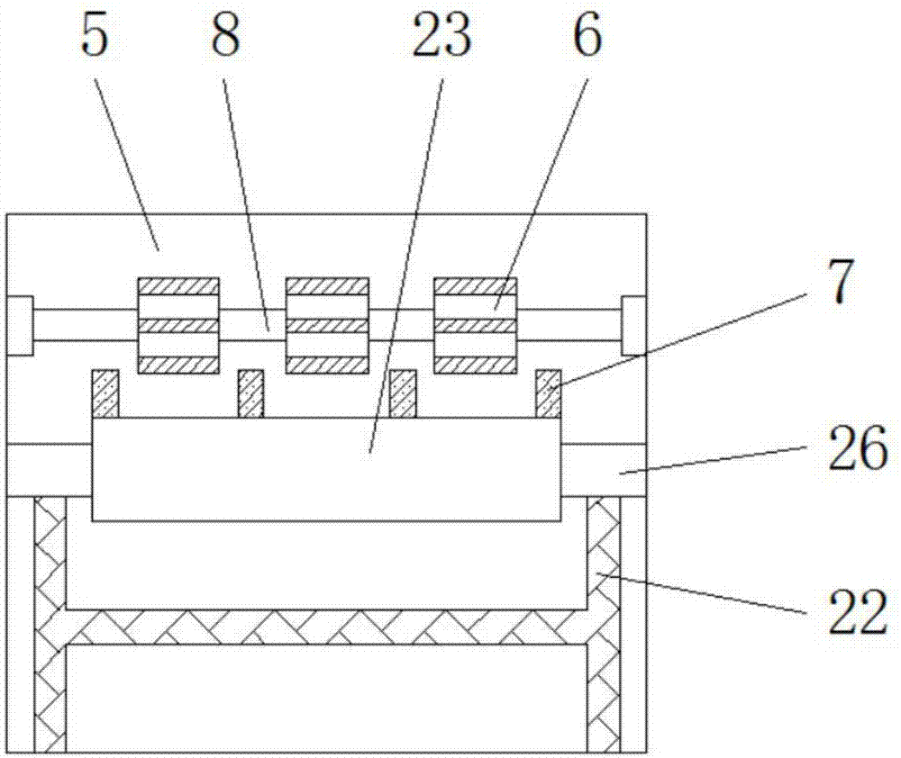 Slicing device special for processing traditional Chinese medicine decoction pieces of rhizoma gastrodiae