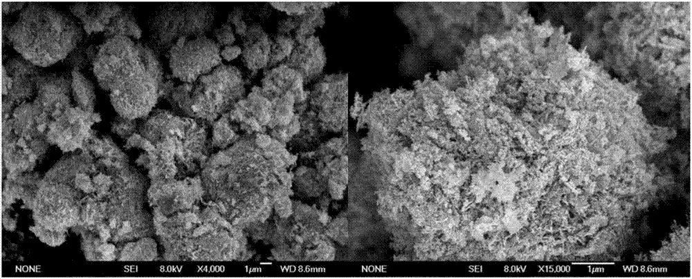 g-C3N4/ZnO nano-sheet multi-level heterogeneous structure photocatalyst and preparation method thereof