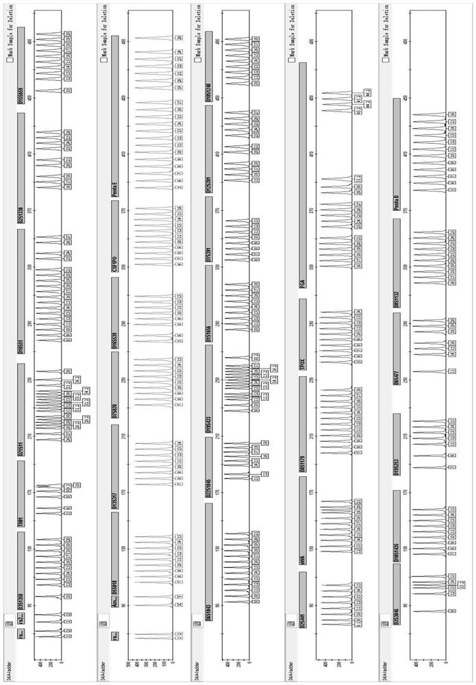 Primer group and kit for simultaneously amplifying 34 human STR gene loci and application of primer group and kit