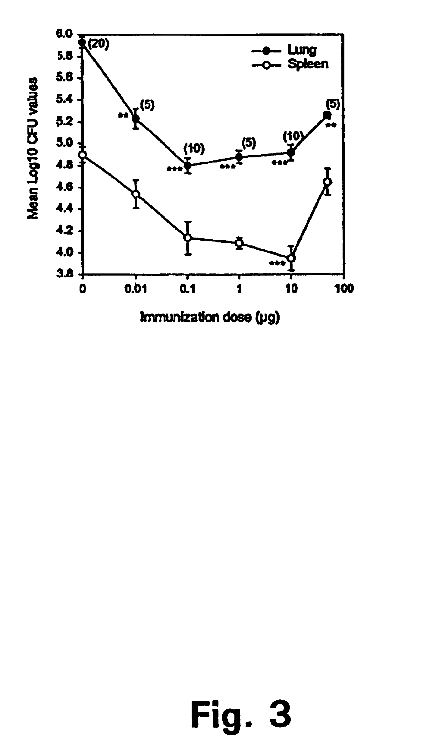 Hybrids of M. tuberculosis antigens