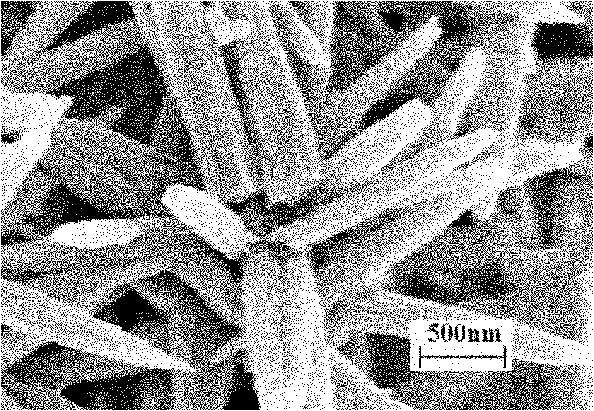 ZnO based diluted magnetic semiconductor of one-dimensional mesoporous crystal and preparation method thereof