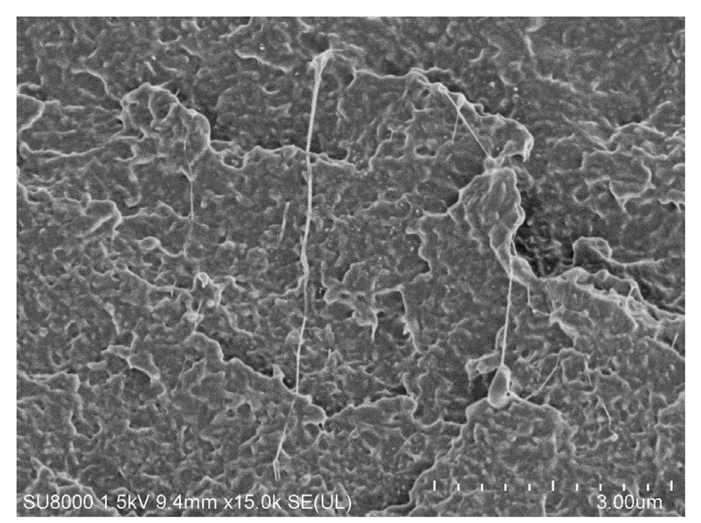 A polyether ether ketone antistatic high temperature resistant coating and preparation method thereof