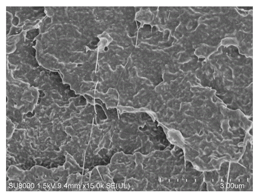 A polyether ether ketone antistatic high temperature resistant coating and preparation method thereof