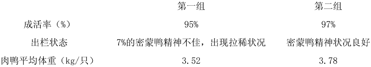 Green ecological breeding method of Mimeng duck