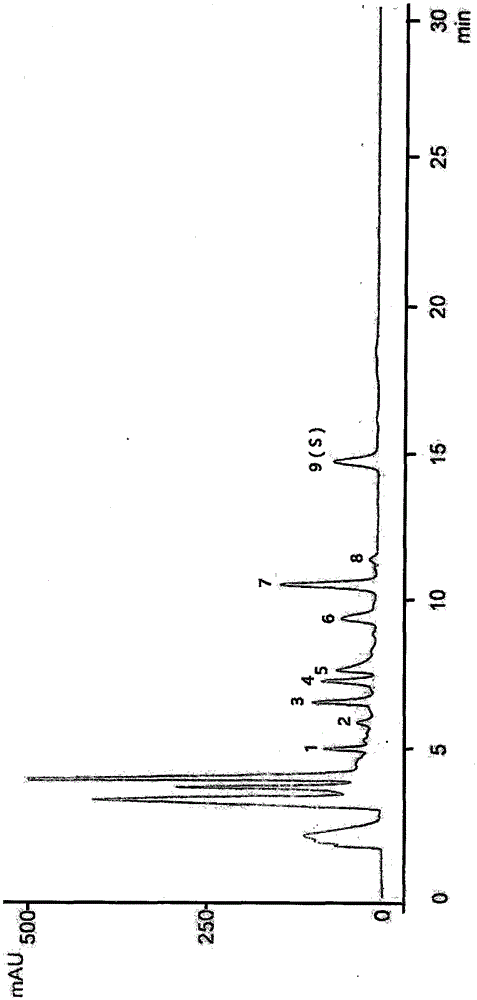 Fingerprint spectrum control method of low-sugar strong loquat syrup