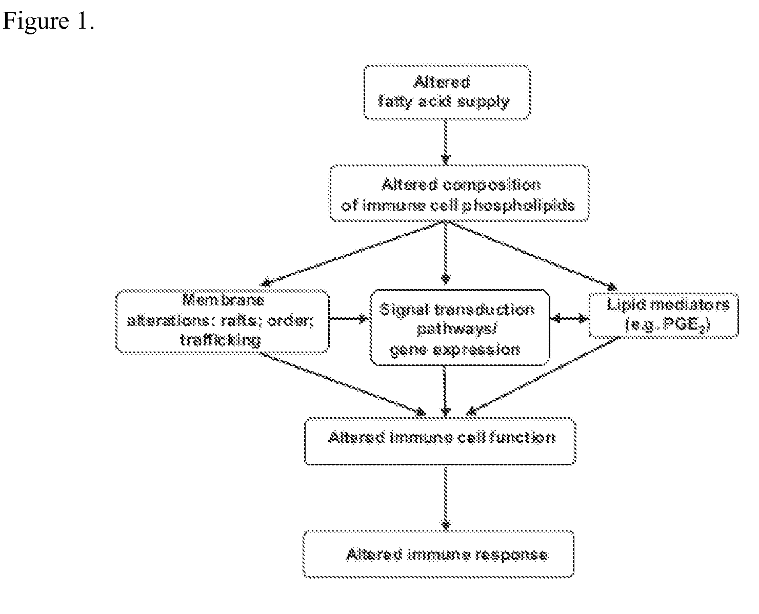 Nutritional support to prevent and/or mitigate bone marrow toxicity from a cancerous tumor